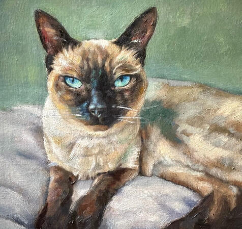 Siamese